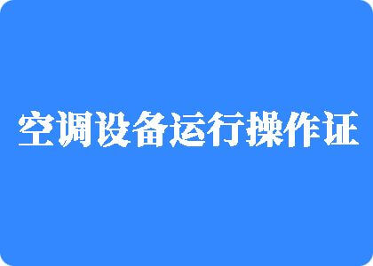 日本男人一个人在家看的美女操逼的视频制冷工证