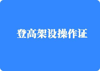 我要看要看操逼a逼逼逼逼逼登高架设操作证